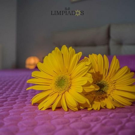 Limpiados Bed & Breakfast Ликата Экстерьер фото